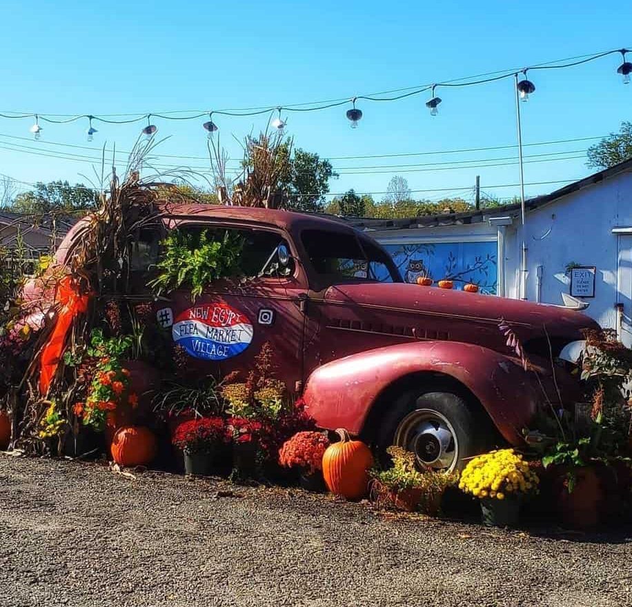 New Egypt Flea Market Village Village Art